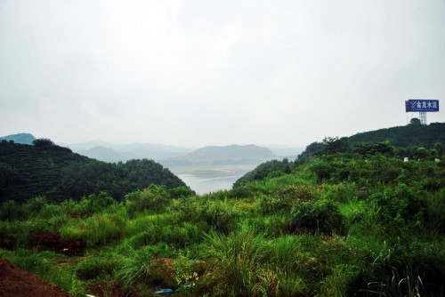 14-1 800X537
